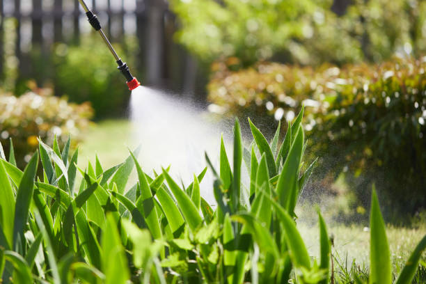 24/7 Emergency Wasp Removal experts in Clemmons, NC