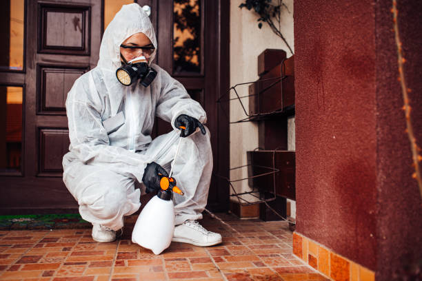 Reliable Wasp Removal contractor in Clemmons, NC by Show Me Pest Control